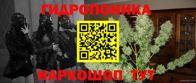 эйфоретик Пенза
