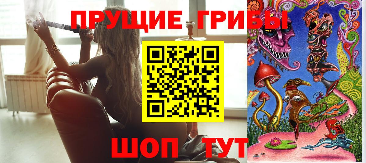 Галлюциногенные грибы GOLDEN TEACHER  Вход с VPN  Саянск 