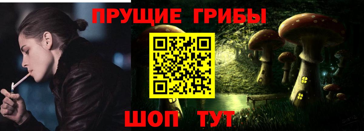Псилоцибиновые грибы мицелий Саянск